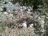DSCF0927.webp
