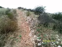 DSCF0929.webp
