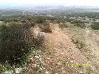 DSCF0930.webp