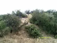 DSCF0940.webp
