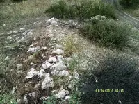 DSCF0941.webp