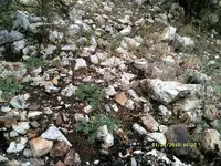 DSCF0956.webp