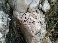 DSCF0978.webp
