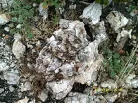 DSCF0981.webp