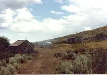 Actly cow camp001A.webp Actly cow camp001A.webp