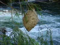 DSC01080e.webp
