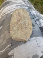 ImageUploadedByTreasureNet.com1434226860.845694.webp