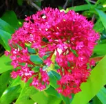 DSCN8662.webp