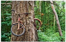 Abandoned-Places-From-Around-The-World-28-Tree-growing-around-an-abandoned-bicycle.jpg