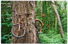 Abandoned-Places-From-Around-The-World-28-Tree-growing-around-an-abandoned-bicycle.webp Abandoned-Places-From-Around-The-World-28-Tree-growing-around-an-abandoned-bicycle.webp
