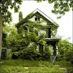 detroit-abandoned-houses-2.webp detroit-abandoned-houses-2.webp