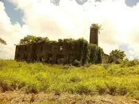 Abandoned distillery in Barbados.webp