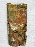 WhatIsIt-1c.webp