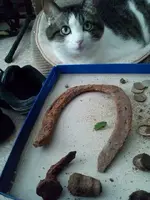 2015063012401200.webp