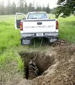 Stump7_04.webp