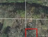 Farm8.webp