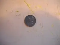 DSCN5326.webp