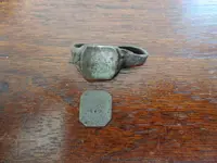 061315Ring.webp 061315Ring.webp