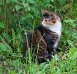DSC_0042.webp