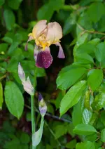 DSC_0049.webp