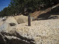 DSCN5329.webp