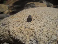 DSCN5330.webp