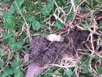 20150609_184840.webp