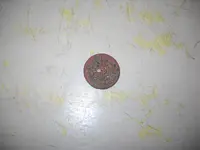 DSCN5331.webp