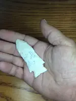 ImageUploadedByTreasureNet.com1433049801.398988.webp