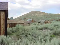 Bodie July 06 011.webp