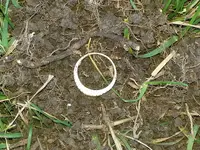 20150430_110726.webp