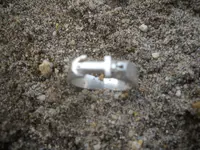 DSCN5312.webp