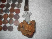 DSCN5314.webp