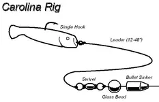 Carolina-rig.webp