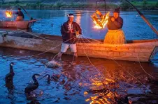 cormorant-fishing-10[1].webp
