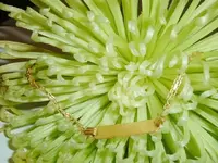 DSCF3508.webp