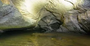inside_the_creek.webp
