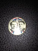Political Pin 1.webp