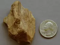 PetrifiedWood-2015-07-03-Img_6886SSS.webp