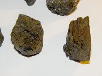 DSCN0558.webp