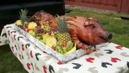 moose-creek-barbecue.webp