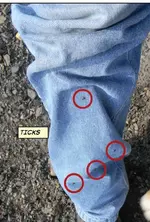 ImageUploadedByTreasureNet.com1434239055.343586.webp ImageUploadedByTreasureNet.com1434239055.343586.webp