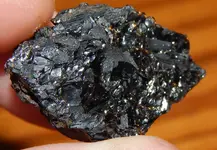 DSCN0567.webp