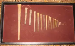 Square Nails.webp