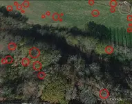 Farm11-chancey55.webp