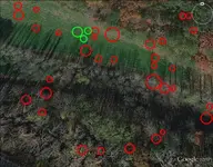 Farm12-chancey55.webp