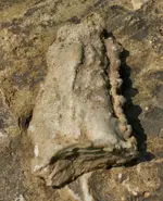 cavedebris.webp