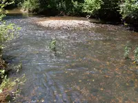 SDC10648.webp