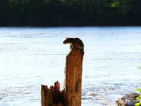 002.webp