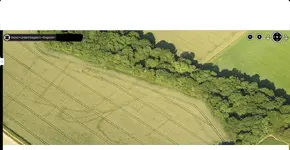 crop marks.webp